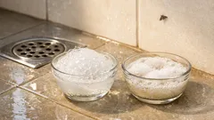 Cara mengusir lalat saluran air di kamar mandi tanpa obat, fokus bersihkan biofilm